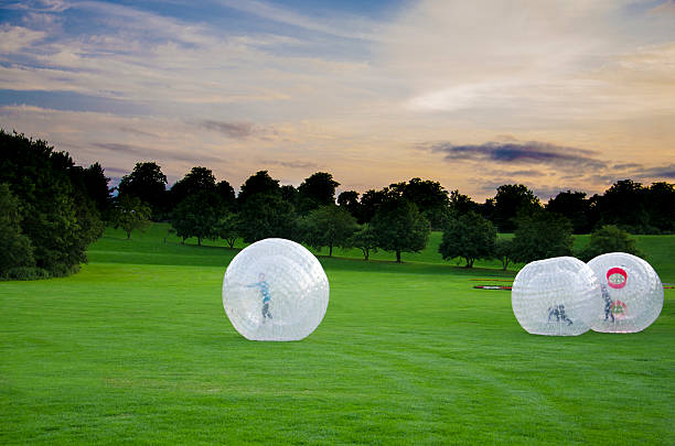 Children rolling inside large plastic balls
