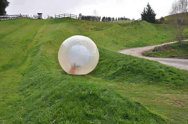 Zorbing extreme sport in New Zealand.